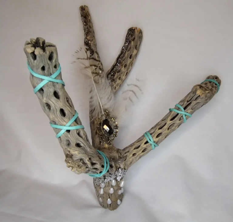 Rustic Dazzle - Cholla cactus wood decor