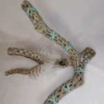 Cholla cactus wood ornate decoration