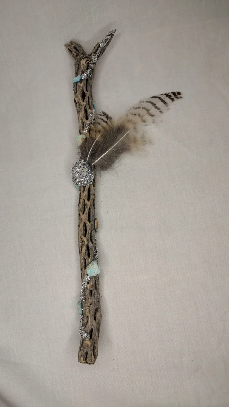 Turquoise cholla cactus wood 04