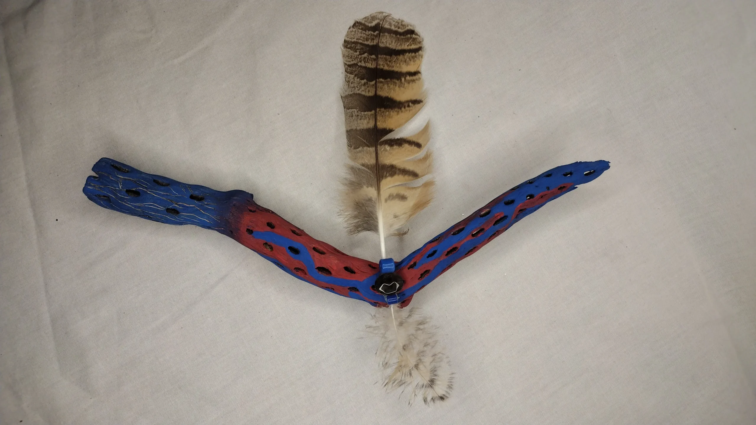 Red and blue cholla cactus wood