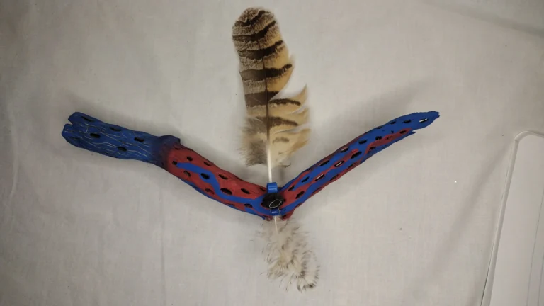 Red and blue cholla cactus wood