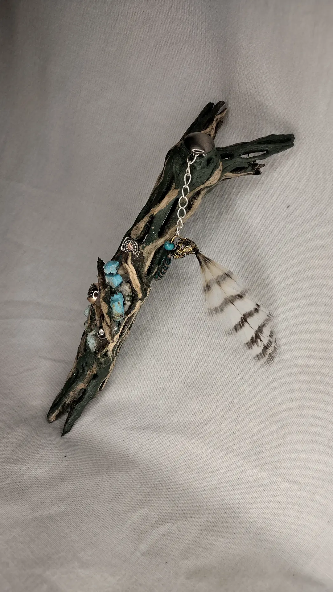 Cholla Cactus wood decor