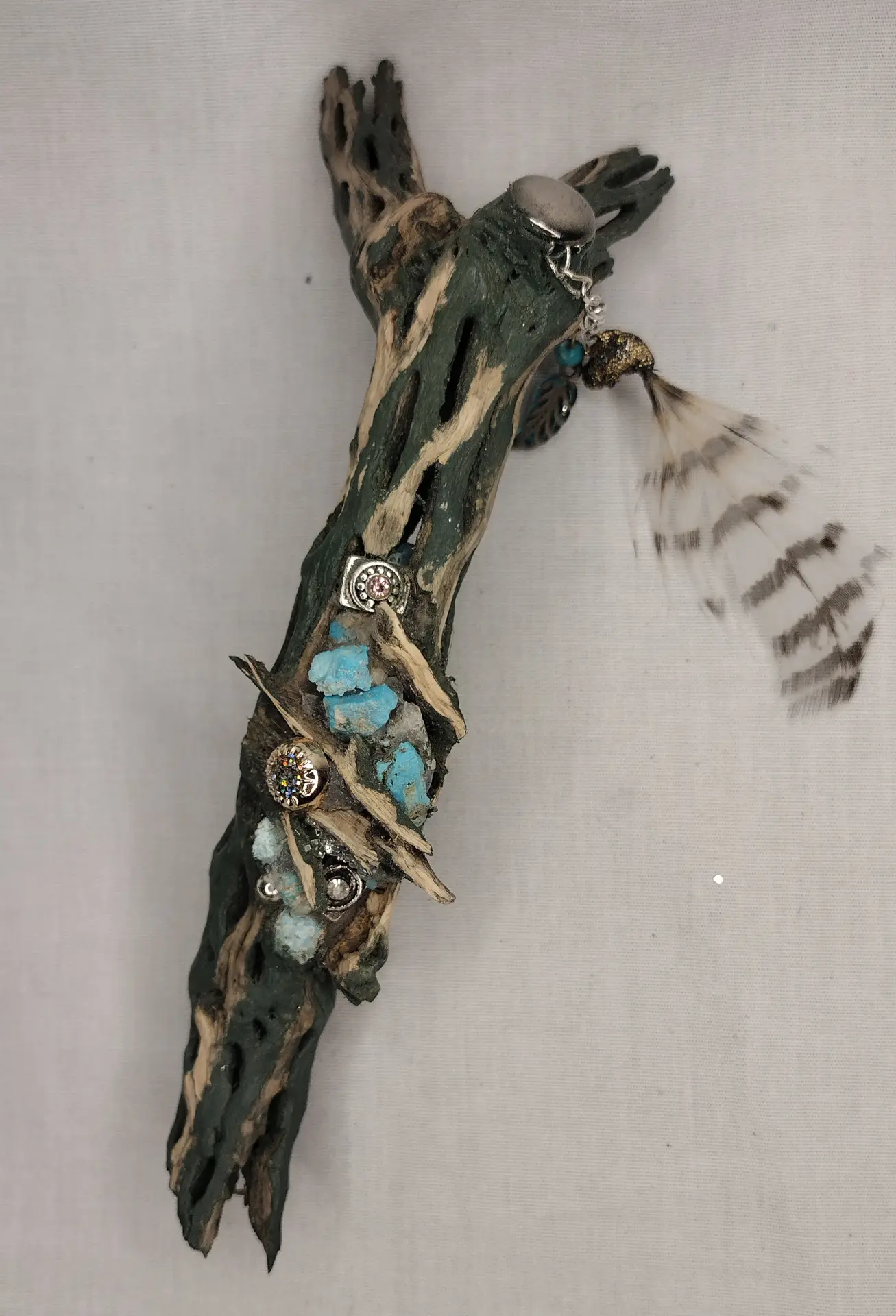 Cholla Cactus wood decor