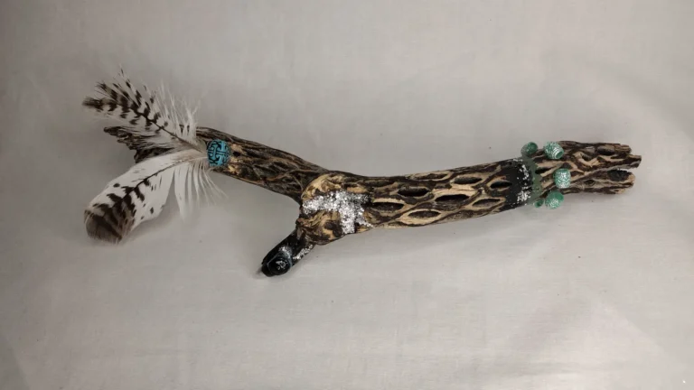 burnt cholla Cactus wood decor