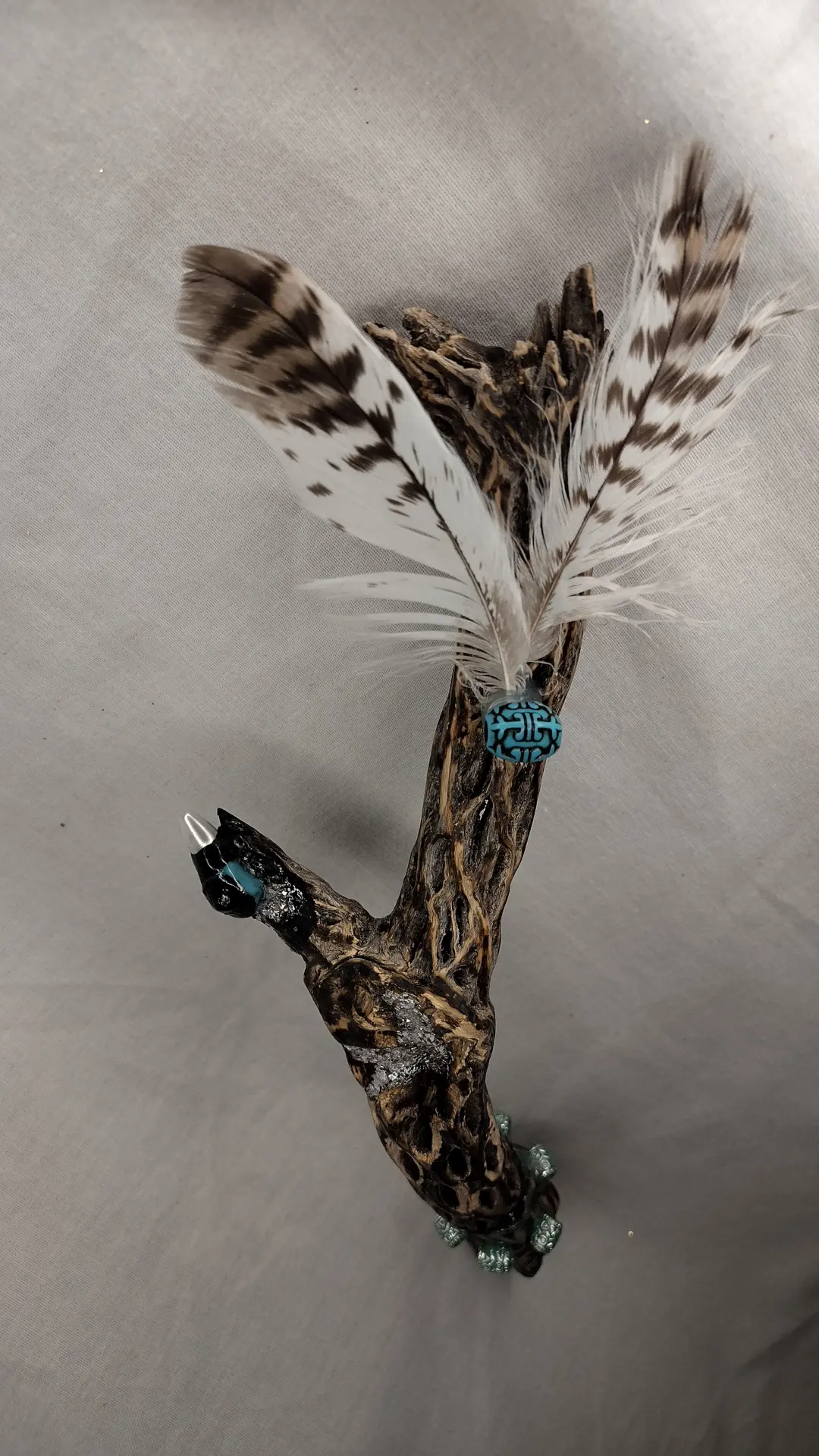 burnt cholla Cactus wood decor